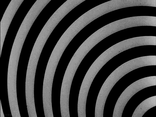 tumblr_n24bjwxJ2v1toamj8o1_500.gif