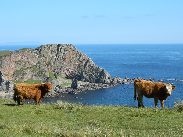 ISLAY (4).JPG